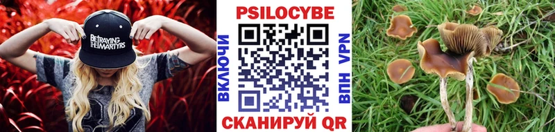 MEGA как зайти  купить  цена  Фатеж  Псилоцибиновые грибы MAGIC MUSHROOMS 